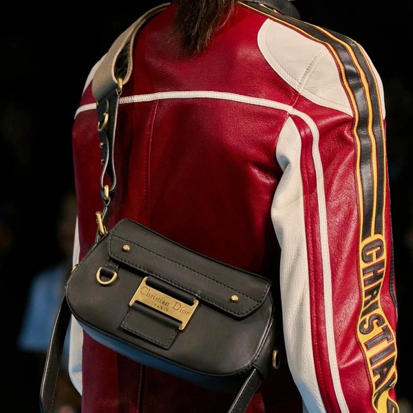 디올 오블리크 스트릿시크 백