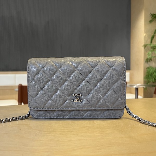 샤넬 25c 크루즈 WOC AP4241