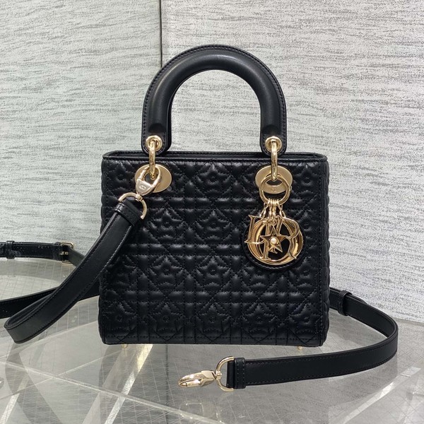 디올 레이디 카나쥬 백 20