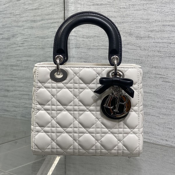 디올 레이디 카나쥬 백 20