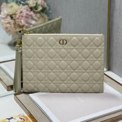 디올 미디움 카로 데일리 파우치