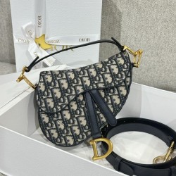 디올 오블리크 클래식  새들백  19