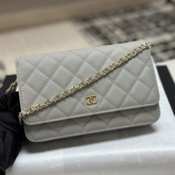 샤넬 25c 크루즈 WOC 탑핸들 미니백