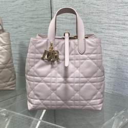 디올 뚜주흐 버티컬 토트백