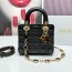 디올 레이디 카나쥬 백 20